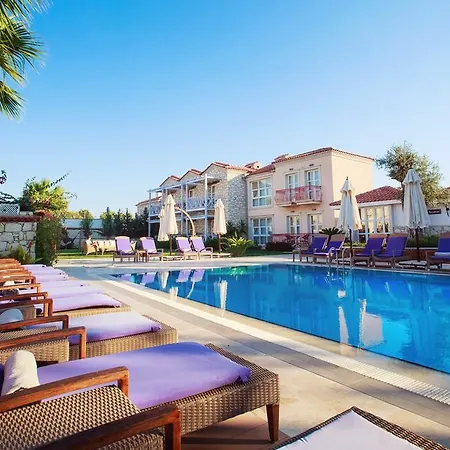 Casa Oliva - Adults Only 14 Алачати