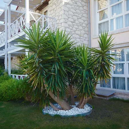 Casa Oliva - Adults Only 14 Отель