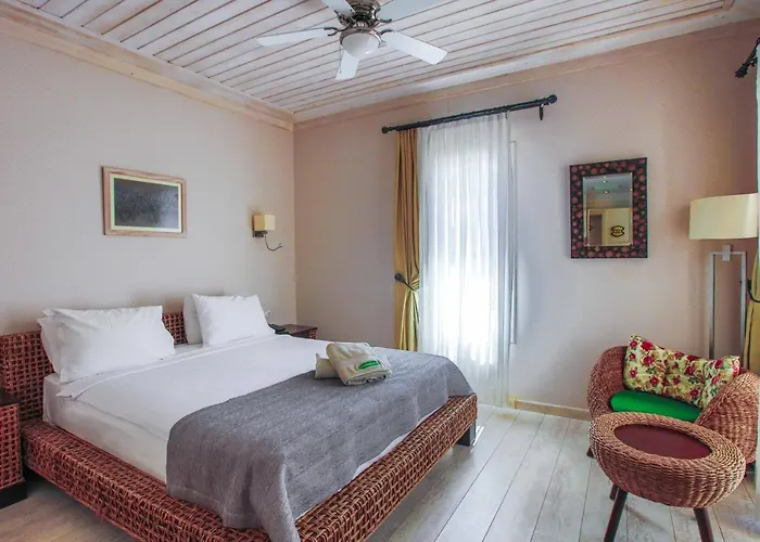 Hotel Casa Oliva - Adults Only 14 2*