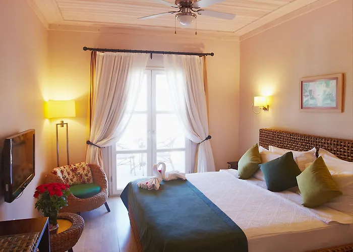 Hotel Casa Oliva - Adults Only 14 2*