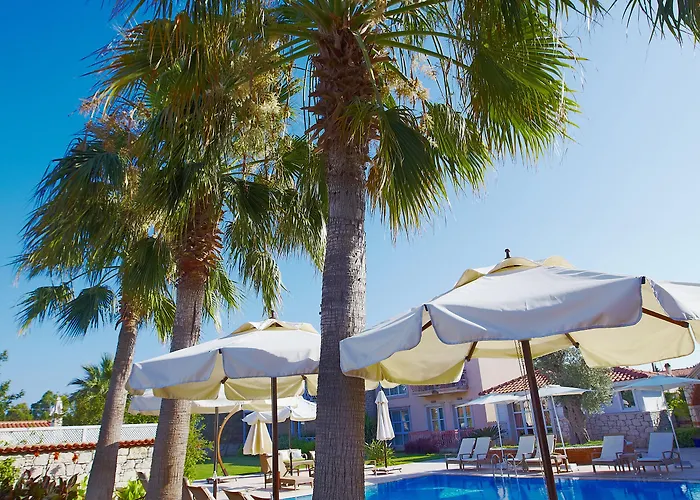 Casa Oliva - Adults Only 14