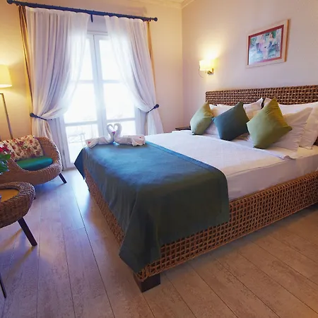 Casa Oliva - Adults Only 14