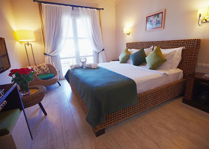 Casa Oliva - Adults Only 14