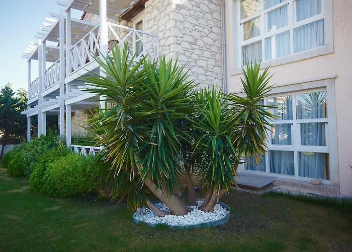 Casa Oliva - Adults Only 14 Отель